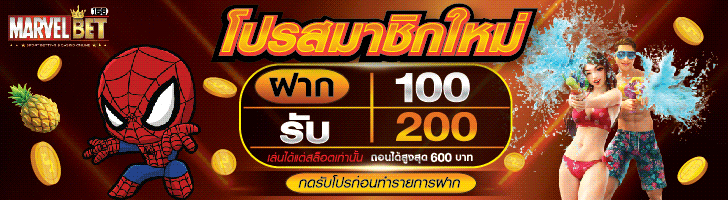 ฟีเจอร์เด่น