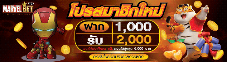 ฟีเจอร์เด่น