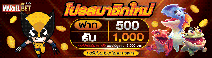 ฟีเจอร์เด่น
